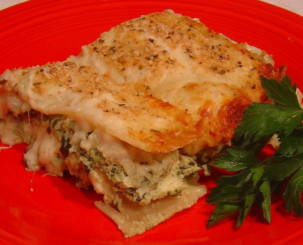 Creamy Spinach Lasagna. Photo by :(