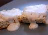 Most Simple Vegetarian White Gravy
