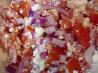 Grecian Tomatoes