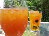 Iced Rooibos and Mango Tea