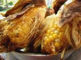 Super Easy, Fat-Free Grilled Corn-In-The-Husk