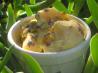 Kumquat's Kookin' Kaboodles' Limone Pistachio Gelato. Recipe by :(