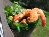 Shrimp Cocktail-Mexican Style. Recipe by sugarnuts