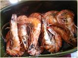 Amazing Roasted Shrimp With Garlic