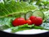 Classic Vinaigrette Salad Dressing