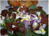 My Favorite Spinach Salad