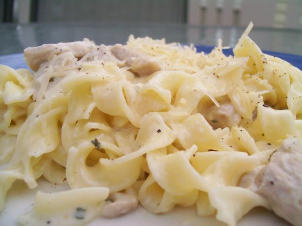 Quick and Easy Chicken in a Parmesan White Sauce. Photo by AZPARZYCH