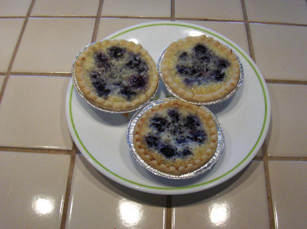 Easiest and Best -Blueberry-Coconut Tarts. Photo by Dorel