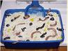 Kitty Litter Cake