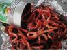 Halloween Worms
