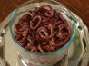 Halloween Worms