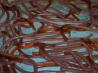 Halloween Worms
