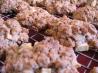 Oatmeal Apple Cookies