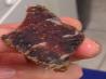 South African Biltong. Photo by canes12284