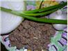 All Purpose Ground Meat Mix