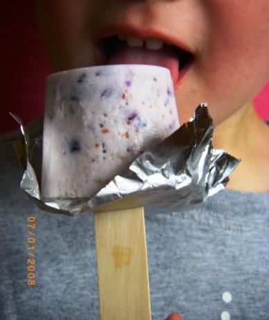 Blueberry Popsicles. Photo by Susiecat too