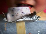 Blueberry Popsicles