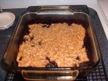 Mayonnaise Blueberry Crisp