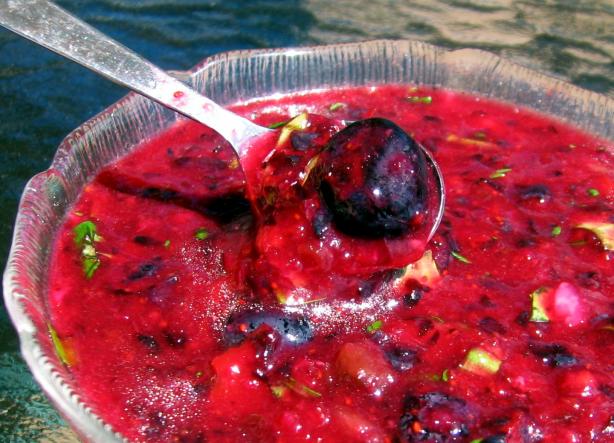 Blueberry Lime Salsa. Photo by Dreamer in Ontario