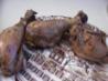 Jamaican Jerk Chicken Drumsticks. Recipe by catercow