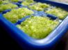 Chef Cajun Deb's Green Stuff