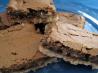 Brown Sugar Squares