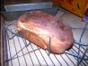 Easy & Quick Amish Bread. Recipe by Ravenn2