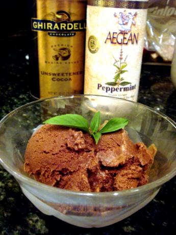 Dark Chocolate-Mint Sorbet. Photo by Mew25