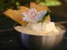 Elegant Vanilla Bean Banana Custard With Pastry. Recipe by Hot Garlic