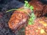 Better Than Any Restaurant Steak.. Recipe by Katanashrp