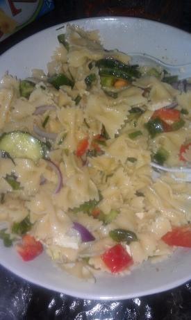 My Big Fat Greek Pasta Salad. Photo by Satyne