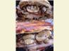 Sauteed Chicken Breast with Ham & Cheese