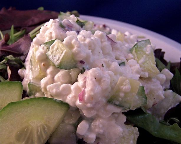 Summertime Cucumber and Cottage Cheese Salad. Photo by PaulaG