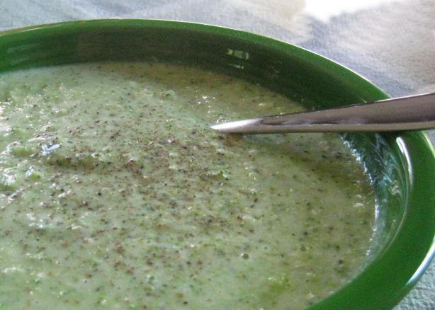 Alissa Cohen's Broccoli Soup (Raw Foods). Photo by Brooke the Cook in WI