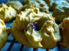Pumpkin Pie Cookies - Healthy. Recipe by senseicheryl