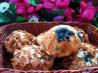 Blueberry- Cinnamon Muffins