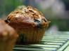 Blueberry- Cinnamon Muffins