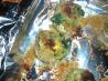 Spinach and Artichoke Stuffed Mushrooms. Recipe by KLBoyle