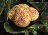 Amazingly Easy Cookies