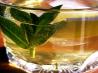 Iced Green Tea With Jasmine. Recipe by Kermit in Huntsville