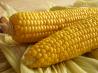 Oven Roasted Corn on the Cob