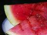 Grilled Watermelon