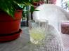 Russian Lemonade