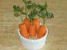 Carrot Patches