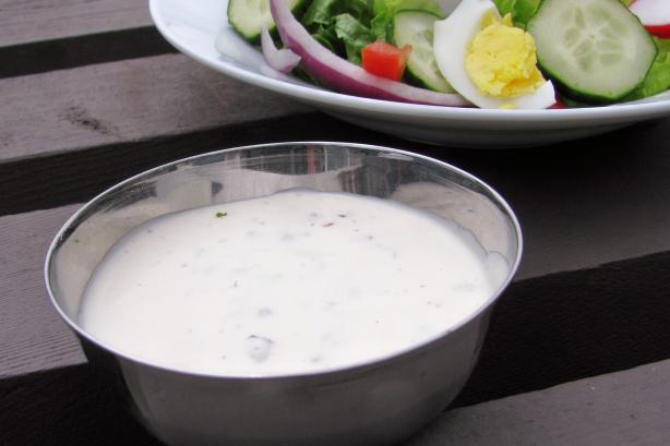 Spicy Tex-Mex Salad Dressing. Photo by lazyme