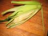 Crazy Easy Corn (On the Cob)