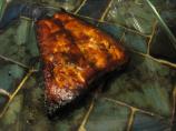Grilled Salmon