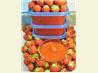 Freezer Strawberry Jam