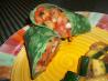 Thai-Style Tomato and Shrimp Wrap Ww. Recipe by KateL