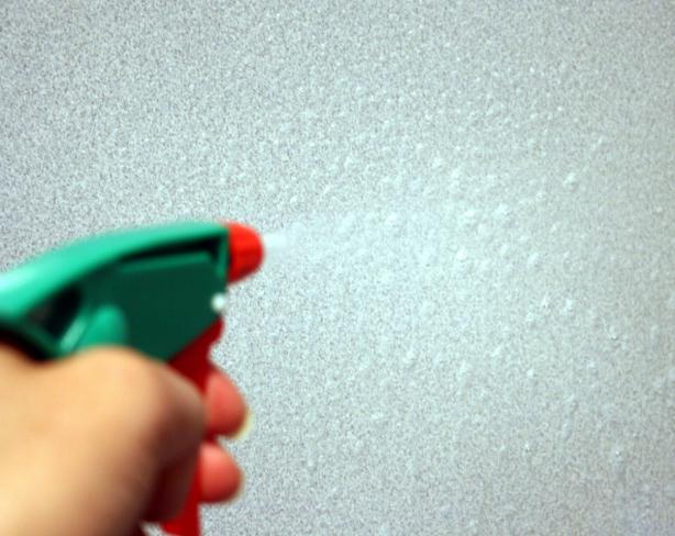 Homemade Cleaner Wow!. Photo by Chef floWer